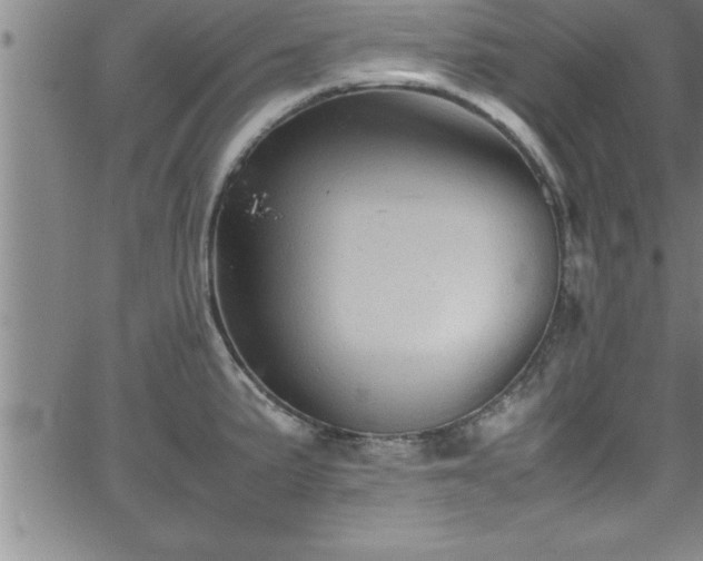 X0000065981191200603061207