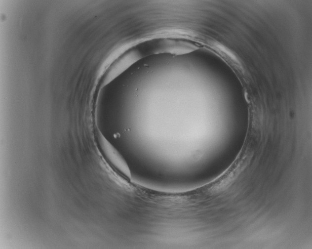 X0000065981192200603061207