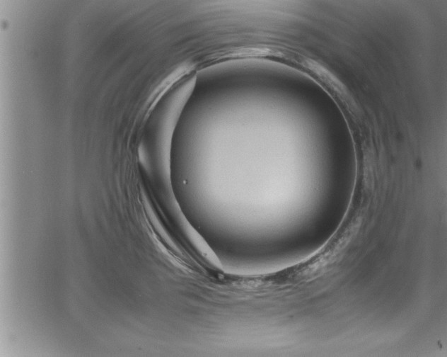 X0000065981193200603061207