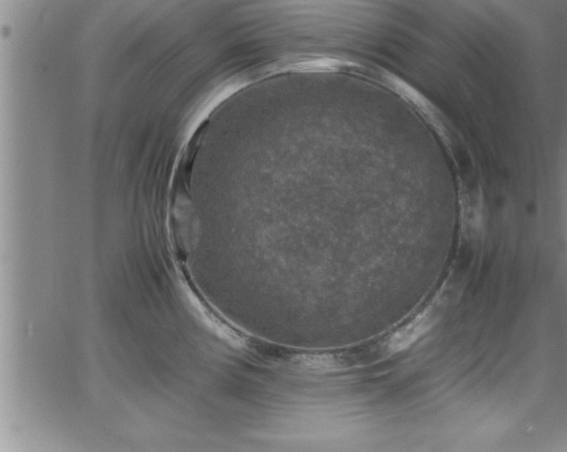 X0000065981194200603061207