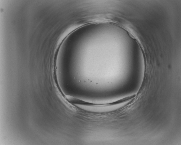 X0000065981195200603061206