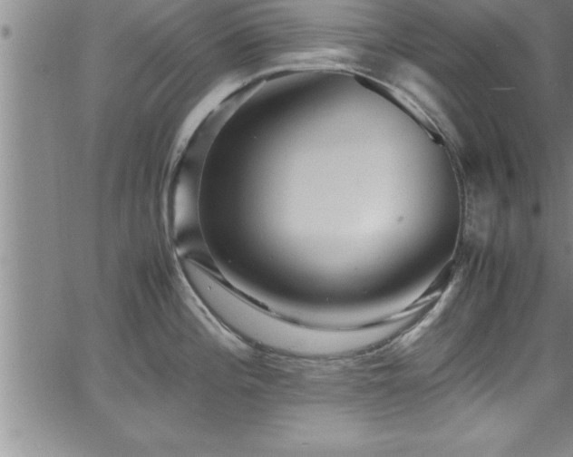 X0000065981196200603061206