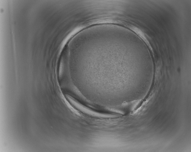 X0000065981197200603061206