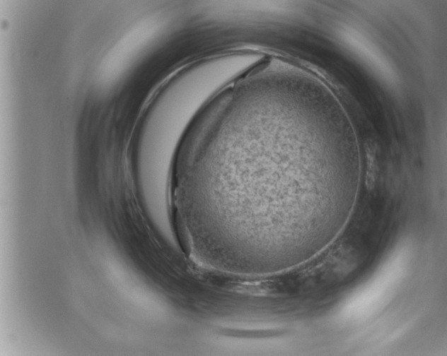 X0000065981198200603061206