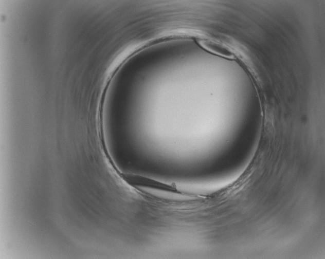 X0000065981199200603061206