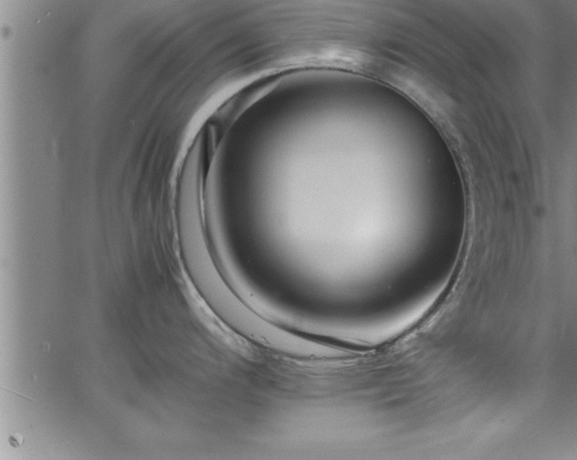 X0000065981200200603061206