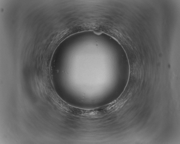 X0000065981201200603061206