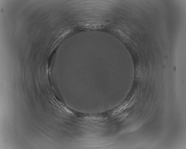 X0000065981202200603061206