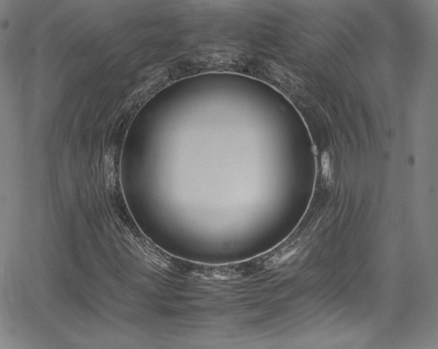 X0000065981203200603061206