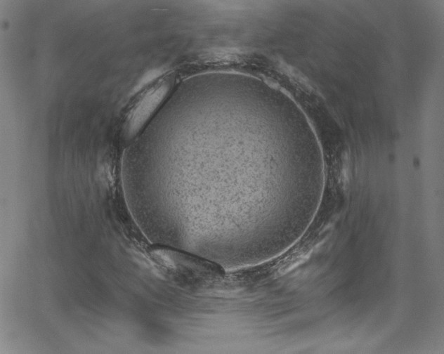 X0000065981206200603061206