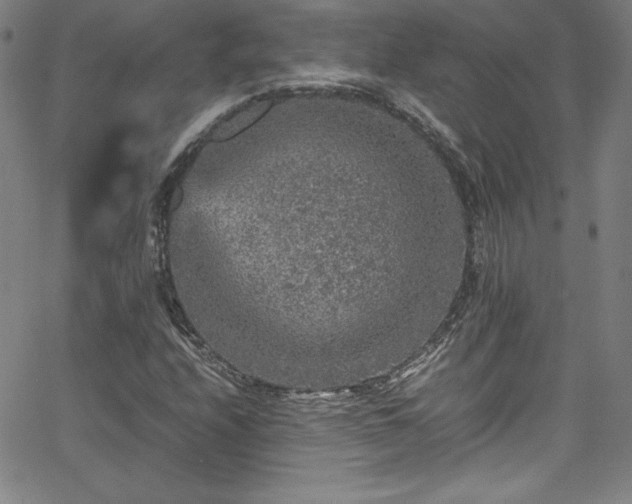 X0000065981208200603061206