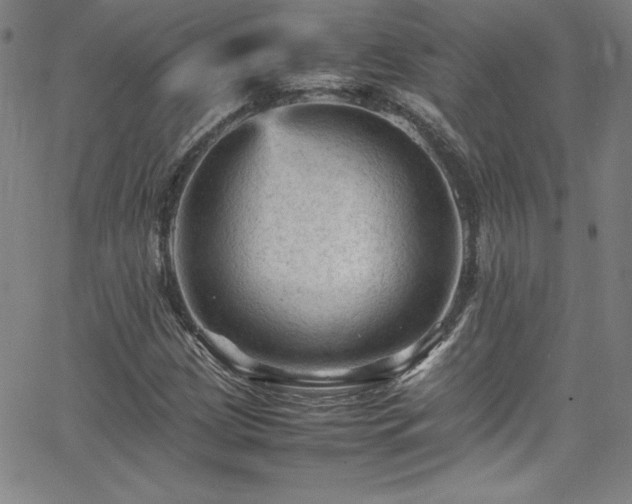 X0000065981209200603061206