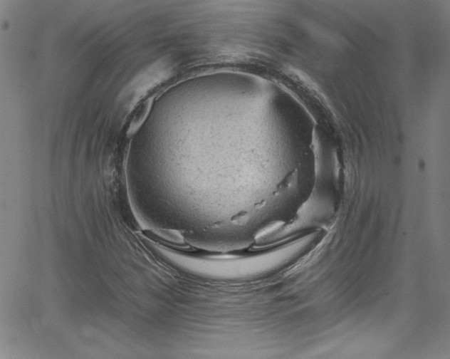 X0000065981210200603061206