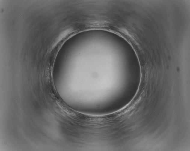 X0000065981211200603061206