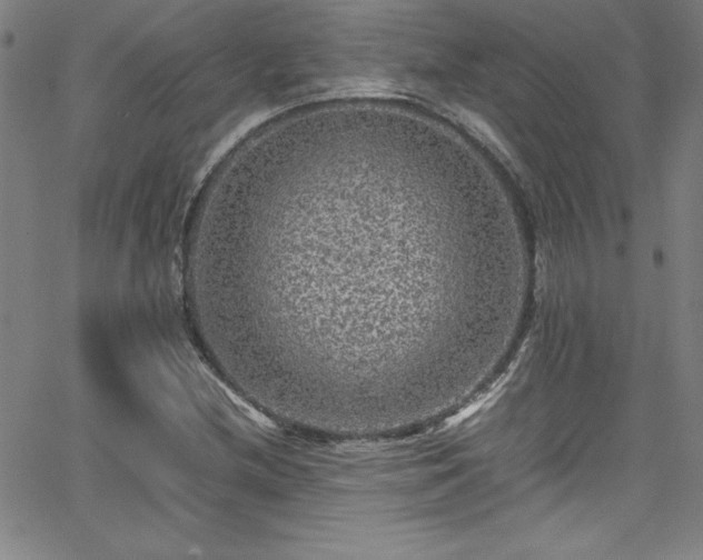 X0000065981212200603061206