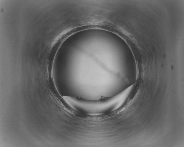 X0000065981214200603061206