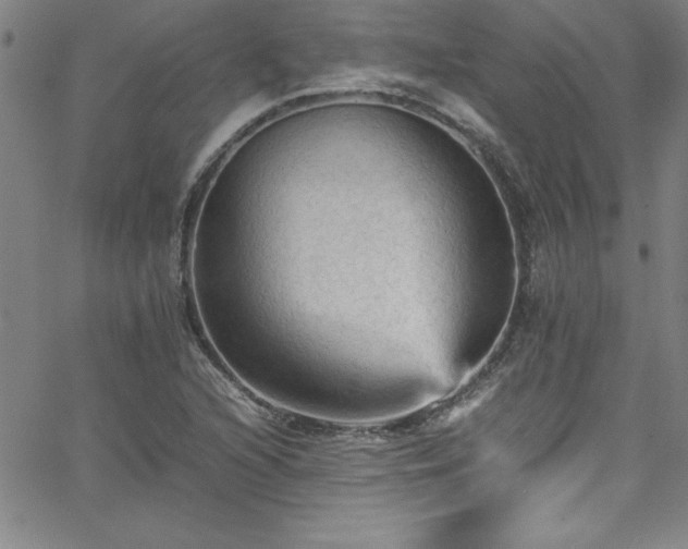 X0000065981216200603061206