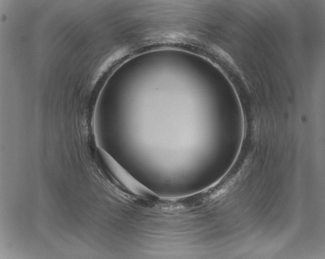 X0000065981218200603061206