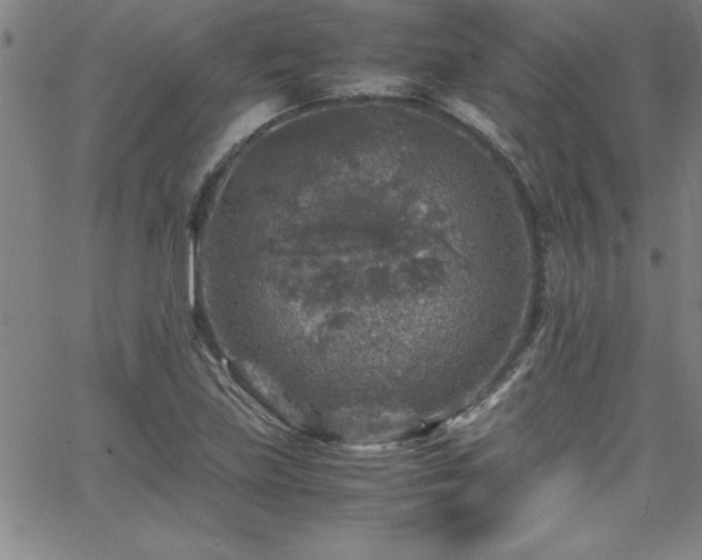 X0000065981219200603061206