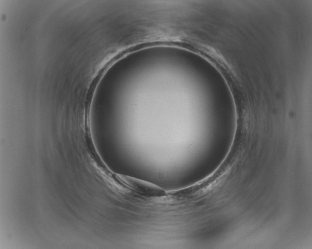 X0000065981220200603061206