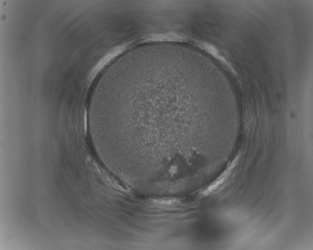 X0000065981221200603061206