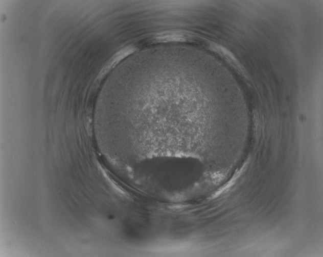 X0000065981225200603061206