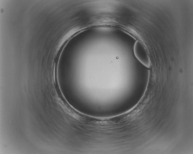 X0000065981227200603061206