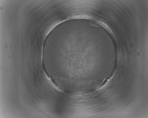 X0000065981228200603061206