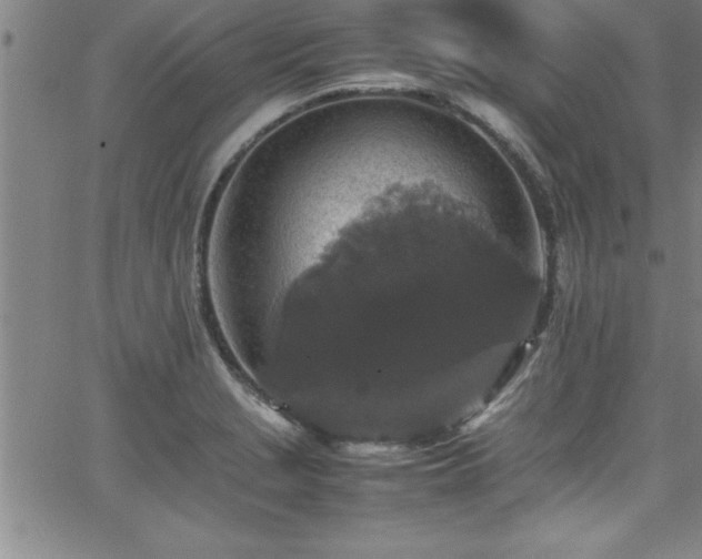 X0000065981229200603061206