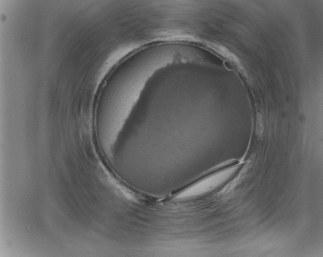 X0000065981231200603061206