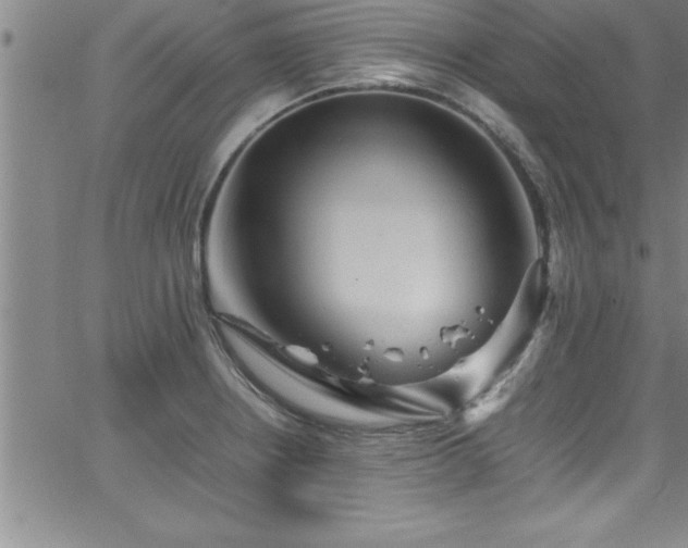 X0000065981234200603061206