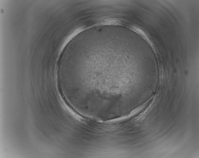 X0000065981235200603061206