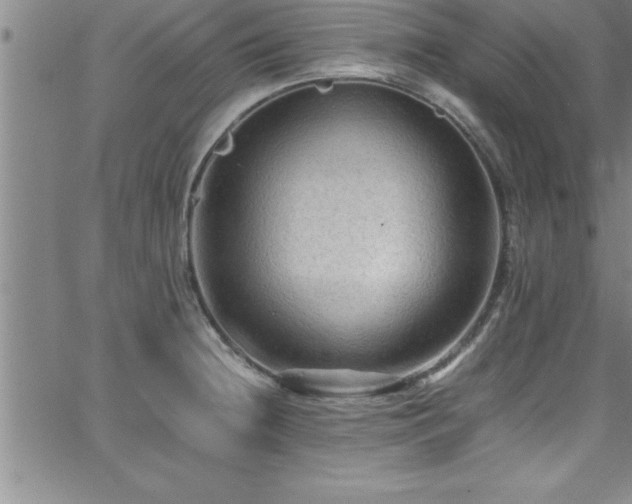 X0000065981236200603061206