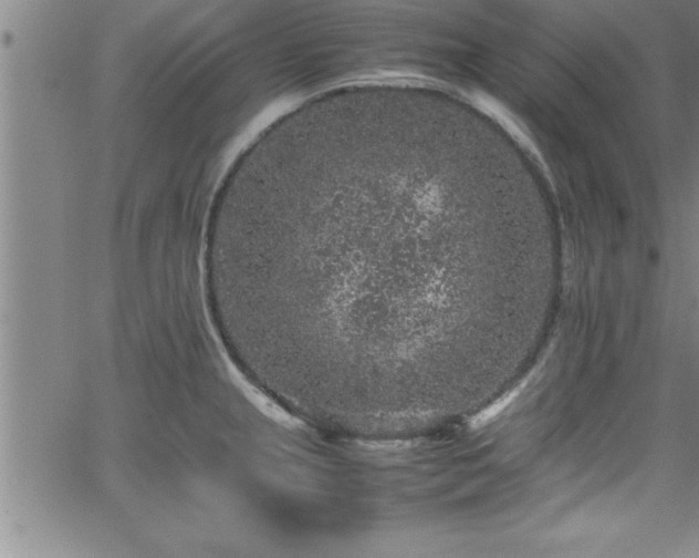 X0000065981237200603061206