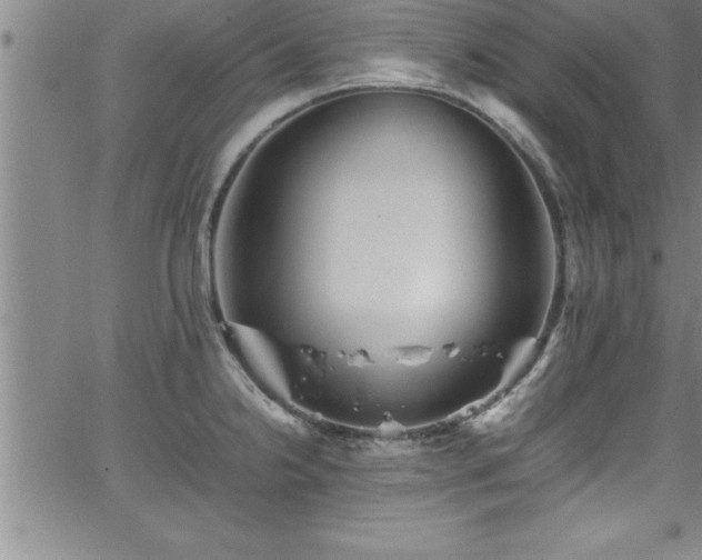 X0000065981238200603061206