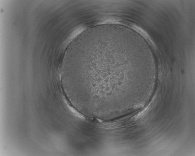 X0000065981241200603061206