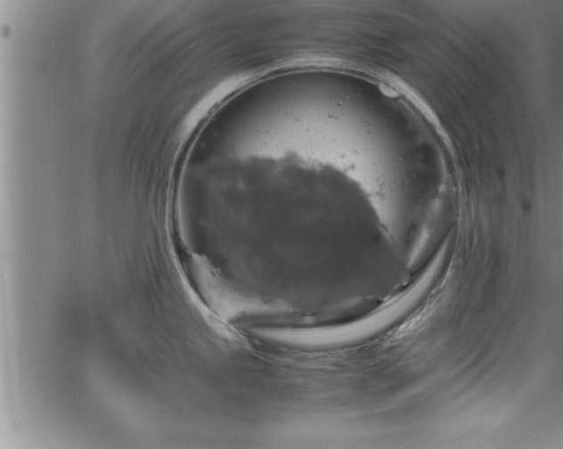 X0000065981245200603061206