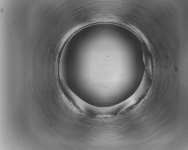 X0000065981246200603061206