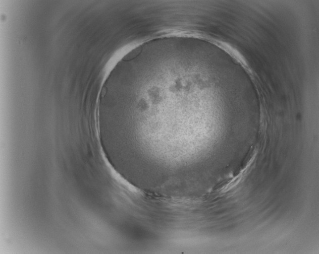 X0000065981247200603061206