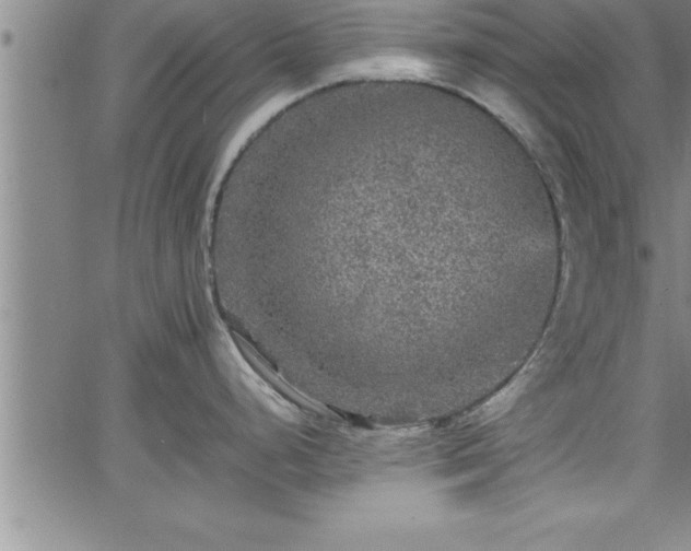 X0000065981248200603061206