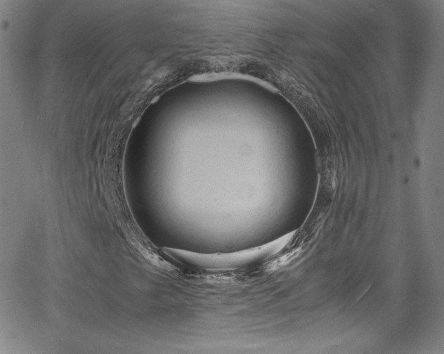 X0000065981249200603061206