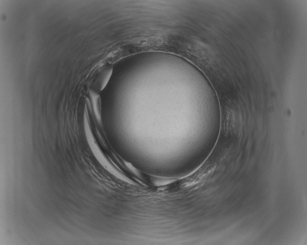 X0000065981250200603061206