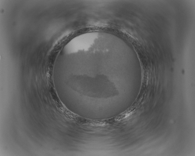 X0000065981254200603061206