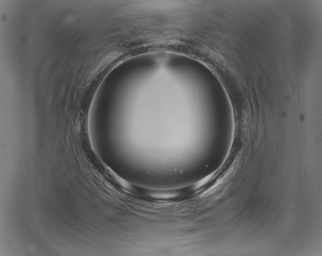 X0000065981257200603061205