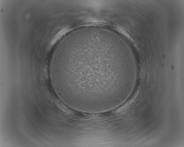 X0000065981259200603061205