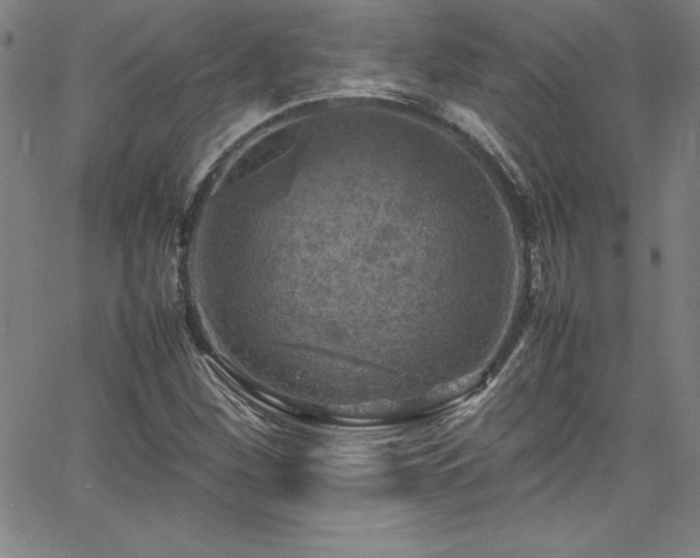 X0000065981260200603061205