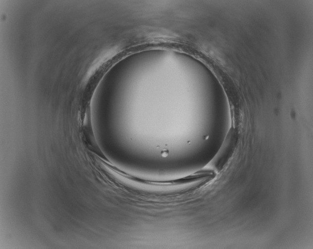 X0000065981261200603061205