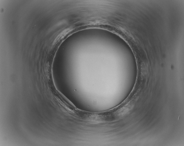 X0000065981265200603061205