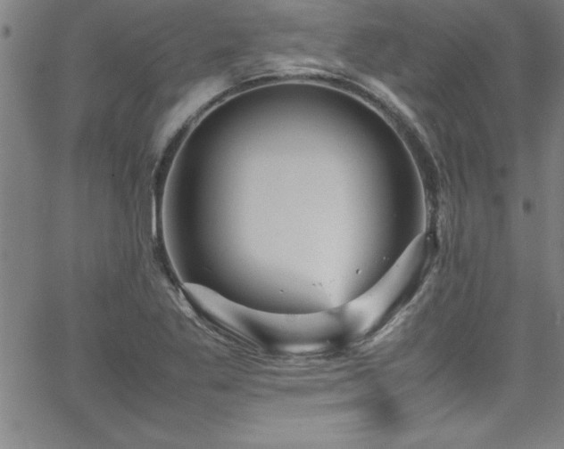 X0000065981269200603061205