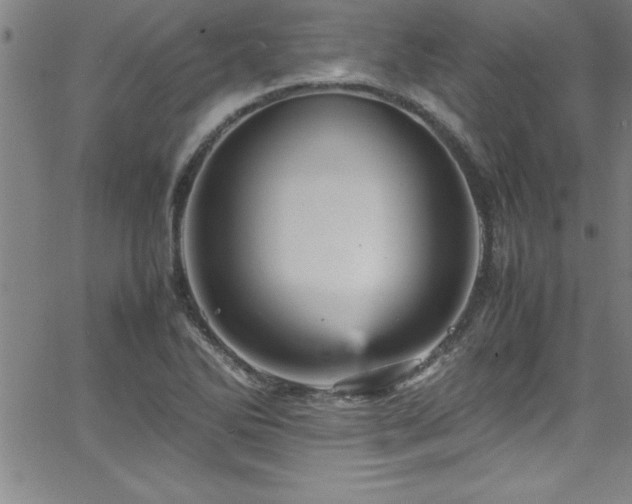 X0000065981270200603061205